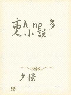 高h np 多人小说