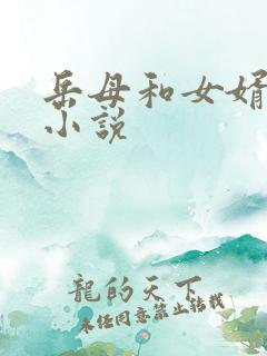 岳母和女婿上床小说