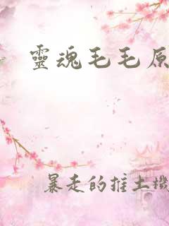 灵魂毛毛原文
