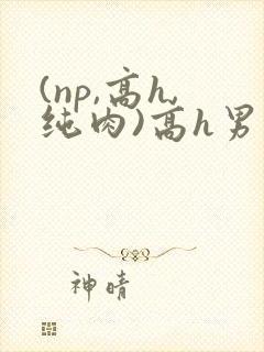 (np,高h,纯肉)高h男男