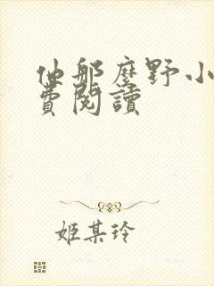 他那么野小说免费阅读