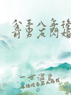 分手八年后我和前男友闪婚了全集
