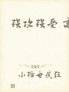 强攻强受 高h