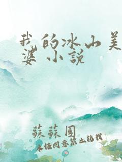 我的冰山美女老婆 小说