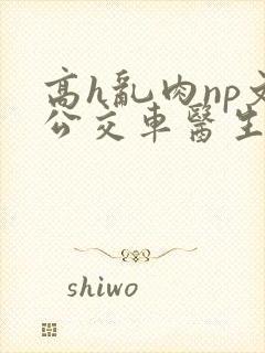 高h乱肉np文公交车医生