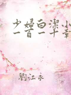 少妇白洁小说第一百一十章