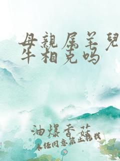 母亲属羊儿子属牛相克吗