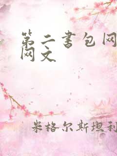 第二书包网高辣网文