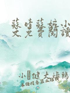 苏晴苏婉小说全文免费阅读
