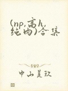(np,高h,纯肉)合集