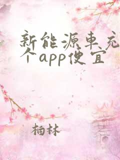 新能源车充电哪个app便宜