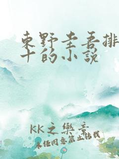 东野圭吾排名前十的小说