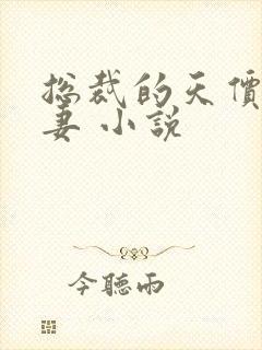 总裁的天价小娇妻 小说