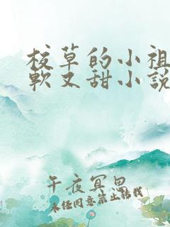 校草的小祖宗又软又甜小说