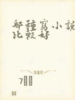 哪种写小说软件比较好