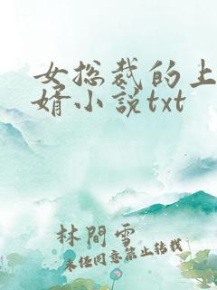女总裁的上门龙婿小说txt