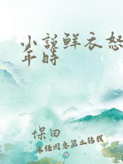 小说鲜衣怒马少年时