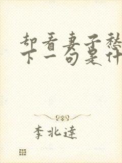 却看妻子愁何在下一句是什麽意思
