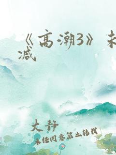 《高潮3》未删减