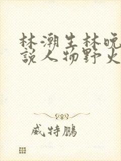 林潮生林晚晚小说人物野火免费阅读