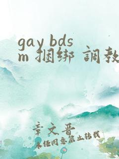 gay bdsm 捆绑 调教 男奴