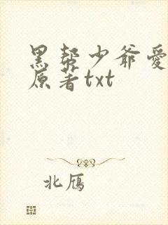 黑帮少爷爱上我原著txt