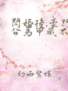闪婚后,豪门老公马甲藏不住了3
