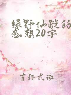 绿野仙踪的读后感想20字