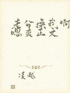 老公操我啊啊嗯嗯爽正文