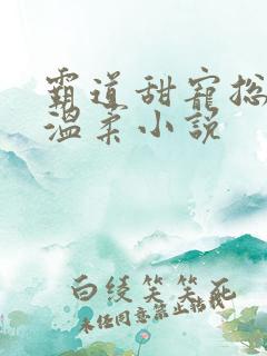 霸道甜宠总裁请温柔小说