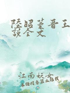 陆昭菱晋王的小说全文