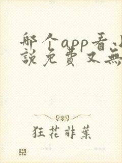 哪个app看小说免费又无广告