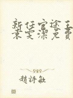 新任官途王子枫袁雯洁免费阅读