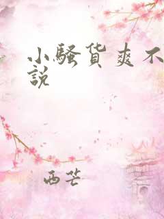 小骚货爽不爽小说