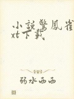 小说惊凤雀起txt下载