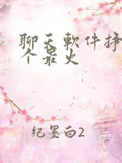聊天软件挣钱哪个最火