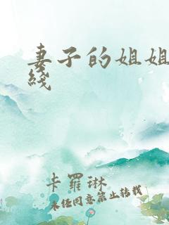 妻子的姐姐2在线