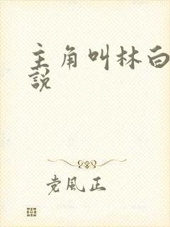 主角叫林白的小说