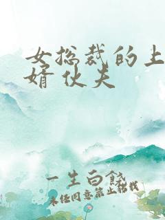 女总裁的上门龙婿 伙夫