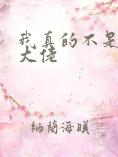 我真的不是反派大佬