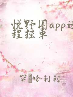 悦野圈app远程控车