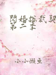 闪婚总裁契约妻第二季