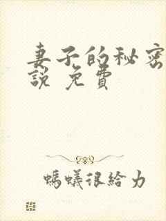 妻子的秘密 小说 免费