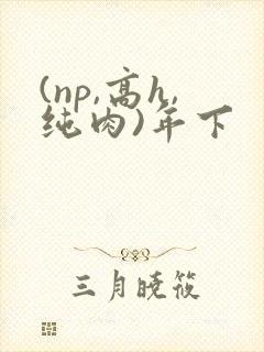 (np,高h,纯肉)年下