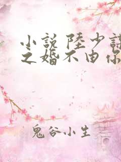 小说 陆少谋妻之婚不由你