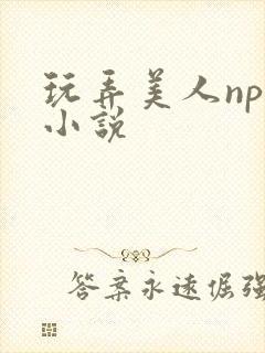 玩弄美人nph小说