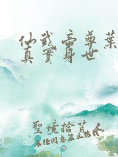 仙武帝尊叶辰的真实身世