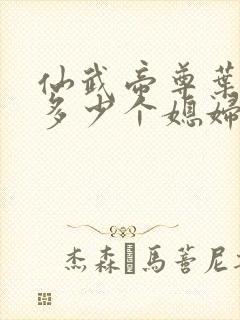 仙武帝尊叶辰有多少个媳妇