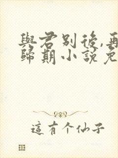 与君别后,再无归期小说免费阅读
