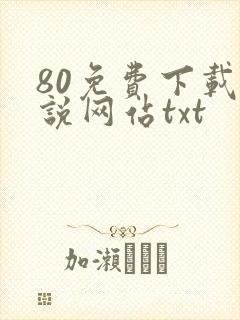 80免费下载小说网站txt